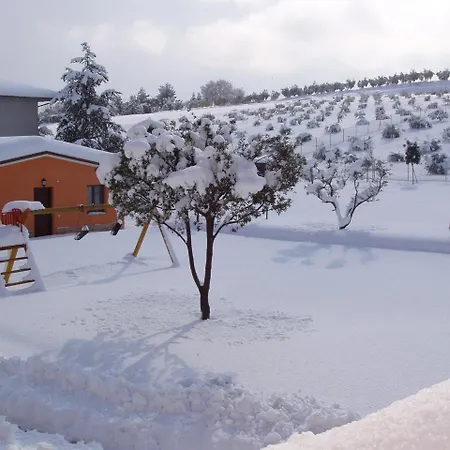 Azienda Agrituristica Le Bucoliche *