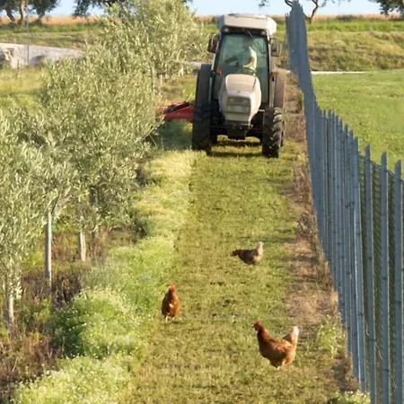 Vakantieboerderij Azienda Agrituristica Le Bucoliche