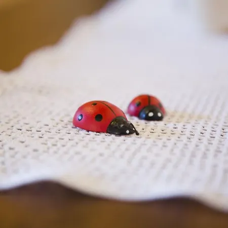 Vakantieboerderij Azienda Agrituristica Le Bucoliche *