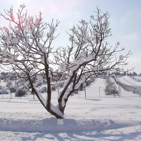 Vakantieboerderij Azienda Agrituristica Le Bucoliche Osimo