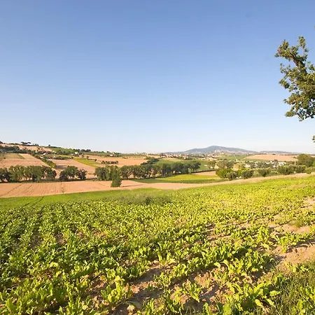 Azienda Agrituristica Le Bucoliche בית חווה