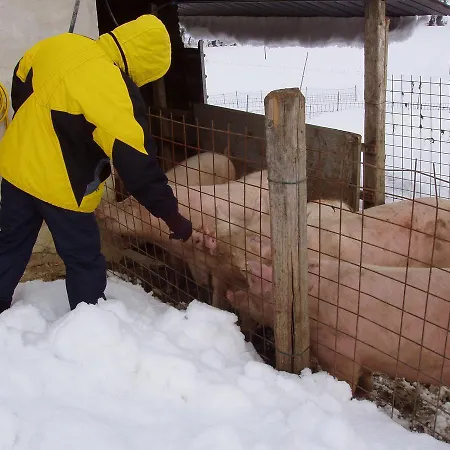 Azienda Agrituristica Le Bucoliche Osimo