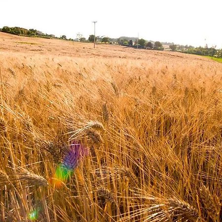 Azienda Agrituristica Le Bucoliche בית חווה *