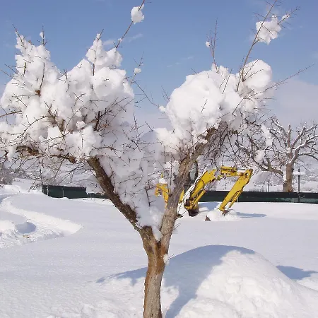 Azienda Agrituristica Le Bucoliche Vakantieboerderij *
