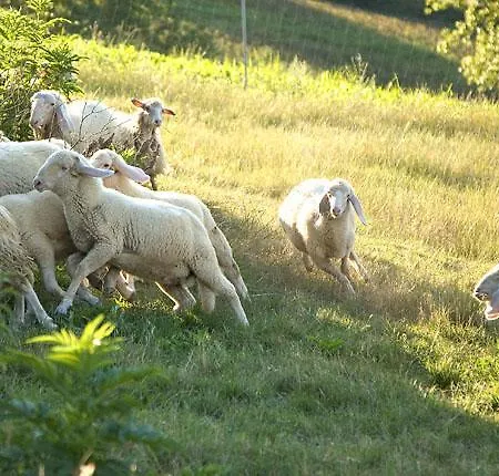 Azienda Agrituristica Le Bucoliche *